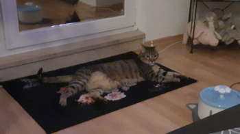 Lenny Bild von Lenny