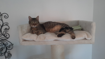 Lenny Bild von Lenny