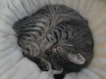 Lenny Bild von Lenny
