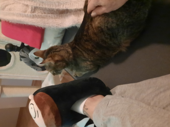 Lenny Bild von Lenny