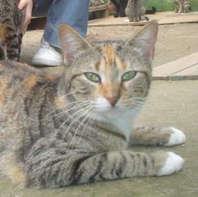 Lola Bild von Lola