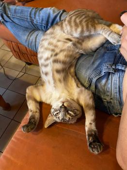 Camilo Bild von Camilo