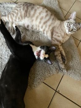 Camilo Bild von Camilo