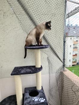 Cooper Bild von Cooper