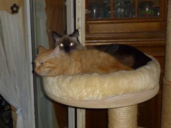 Elda Bild von Elda