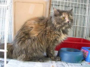 Bild von Leonie