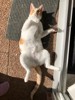 Ricky Bild von Ricky