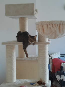 Lenny Bild von Lenny