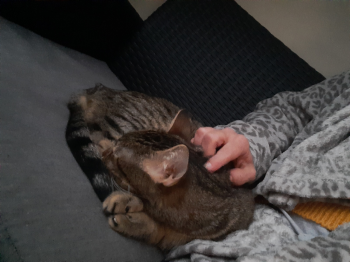Lenny Bild von Lenny
