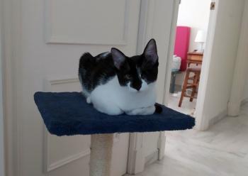 Zira Bild von Zira