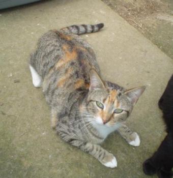 Lola Bild von Lola
