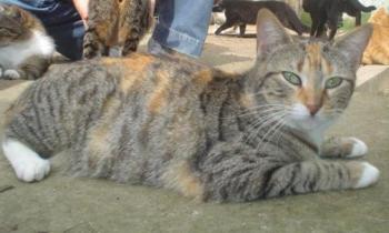 Lola Bild von Lola
