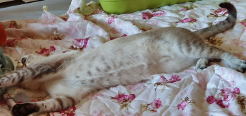 Clara Bild von Clara