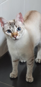 Clara Bild von Clara