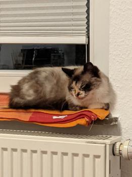 Mila Bild von Mila