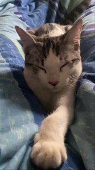 Duki Bild von Duki