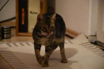 Trixie Bild von Trixie