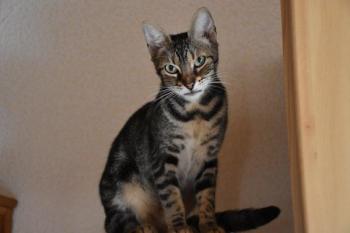 Trixie Bild von Trixie