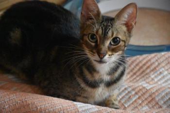 Trixie Bild von Trixie