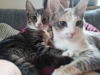 Yvette Bild von Yvette