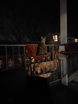 Lenny Bild von Lenny
