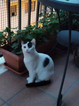 Lily Bild von Lily