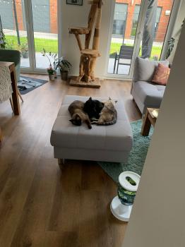 Suhaila Bild von Suhaila
