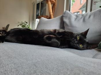 Suhaila Bild von Suhaila