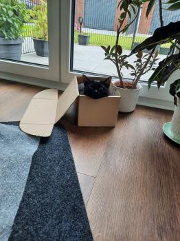 Suhaila Bild von Suhaila