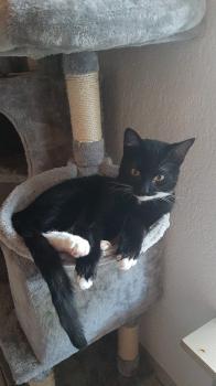 Milo Bild von Milo