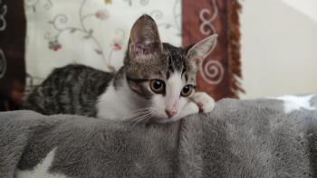 Lia Bild von Lia