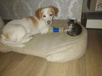 Cleo Bild von Cleo