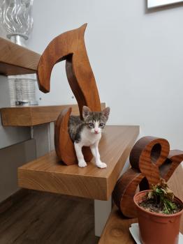 Cleo Bild von Cleo