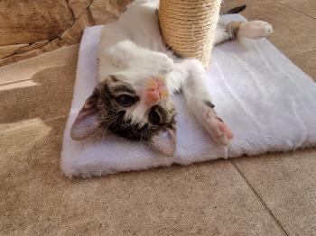 Cleo Bild von Cleo