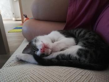 Cleo Bild von Cleo