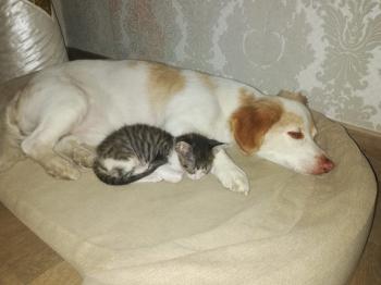 Cleo Bild von Cleo