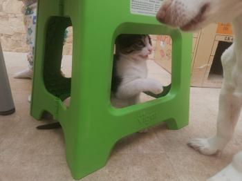 Cleo Bild von Cleo