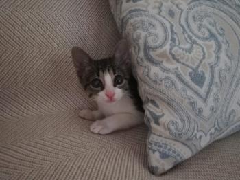 Cleo Bild von Cleo
