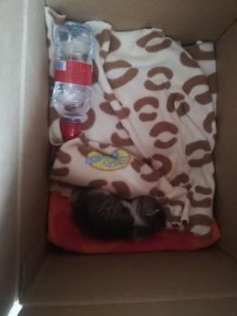 Cleo Bild von Cleo