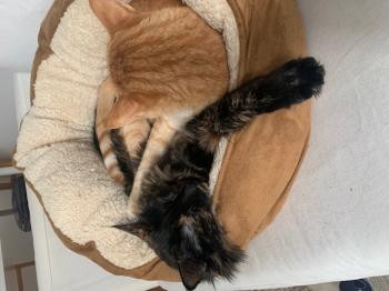 Matilda Bild von Matilda