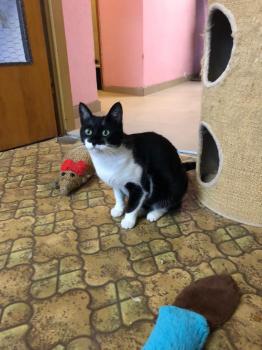 Hilda Bild von Hilda