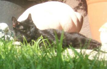 Paco Bild von Paco
