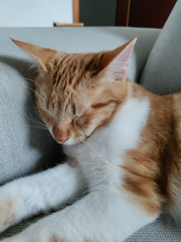 Ares Bild von Ares