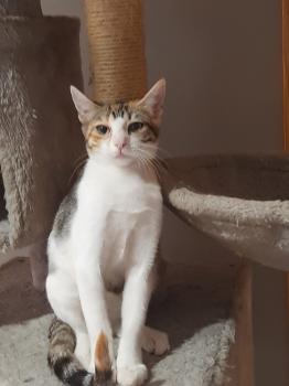 Miel Bild von Miel