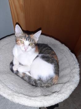 Miel Bild von Miel