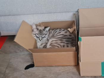 Camilo Bild von Camilo