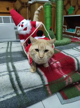 Thomas Bild von Thomas