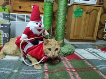 Thomas Bild von Thomas