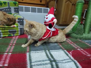 Thomas Bild von Thomas