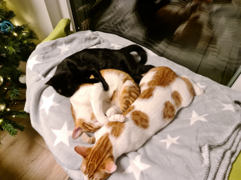 Bumpy Bild von Bumpy